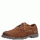 Steve Madden Mens Trill Burnished Plain Toe Oxford Tan